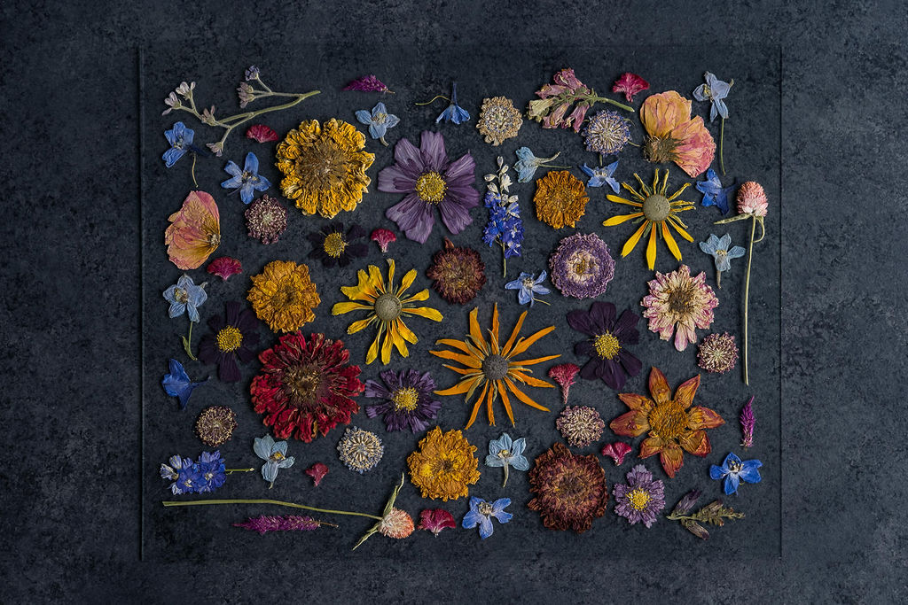 Pressed Flower Preservation 16x20 - Image 5
