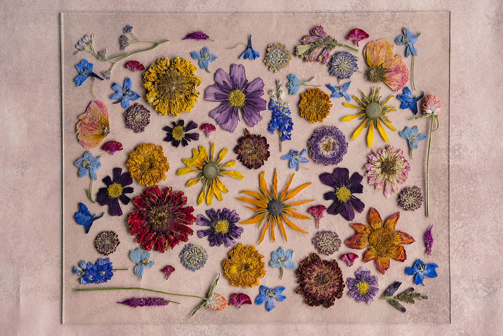 Pressed Flower Preservation 16x20 - Image 6