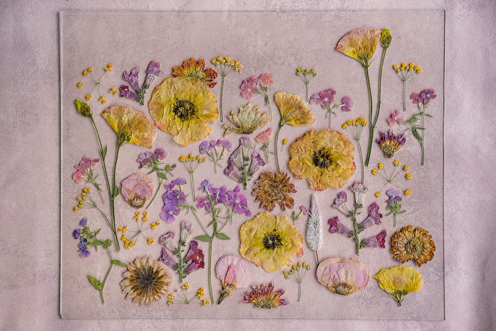 Pressed Flower Preservation 16x20 - Image 11