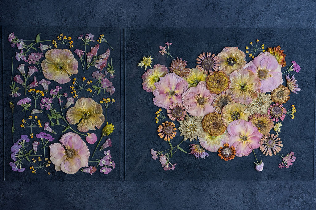 Pressed Flower Preservation 16x20 - Image 9