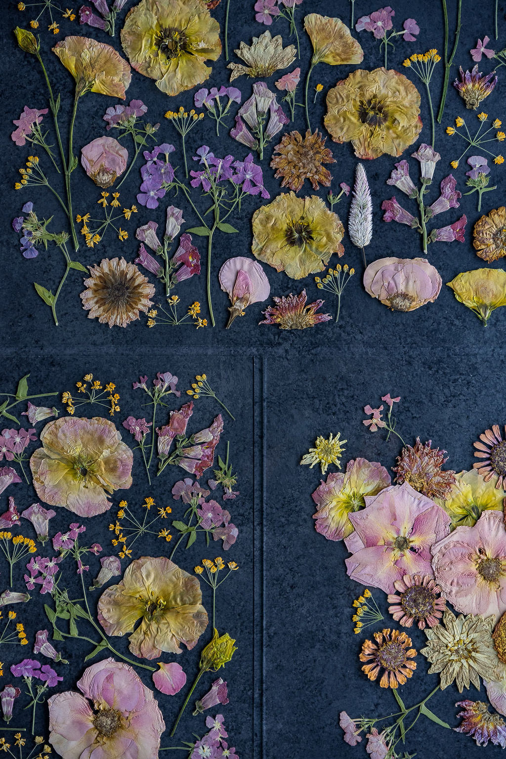 Pressed Flower Preservation 16x20 - Image 8