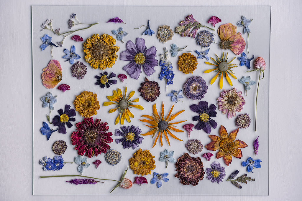 Pressed Flower Preservation 16x20 - Image 7