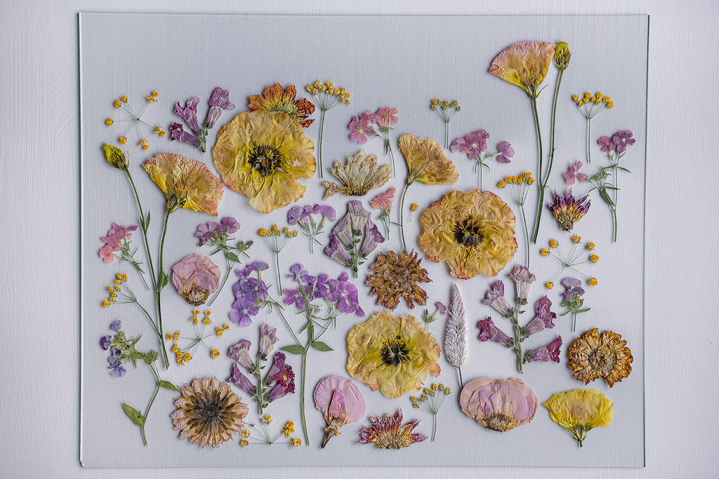 Pressed Flower Preservation 16x20 - Image 14