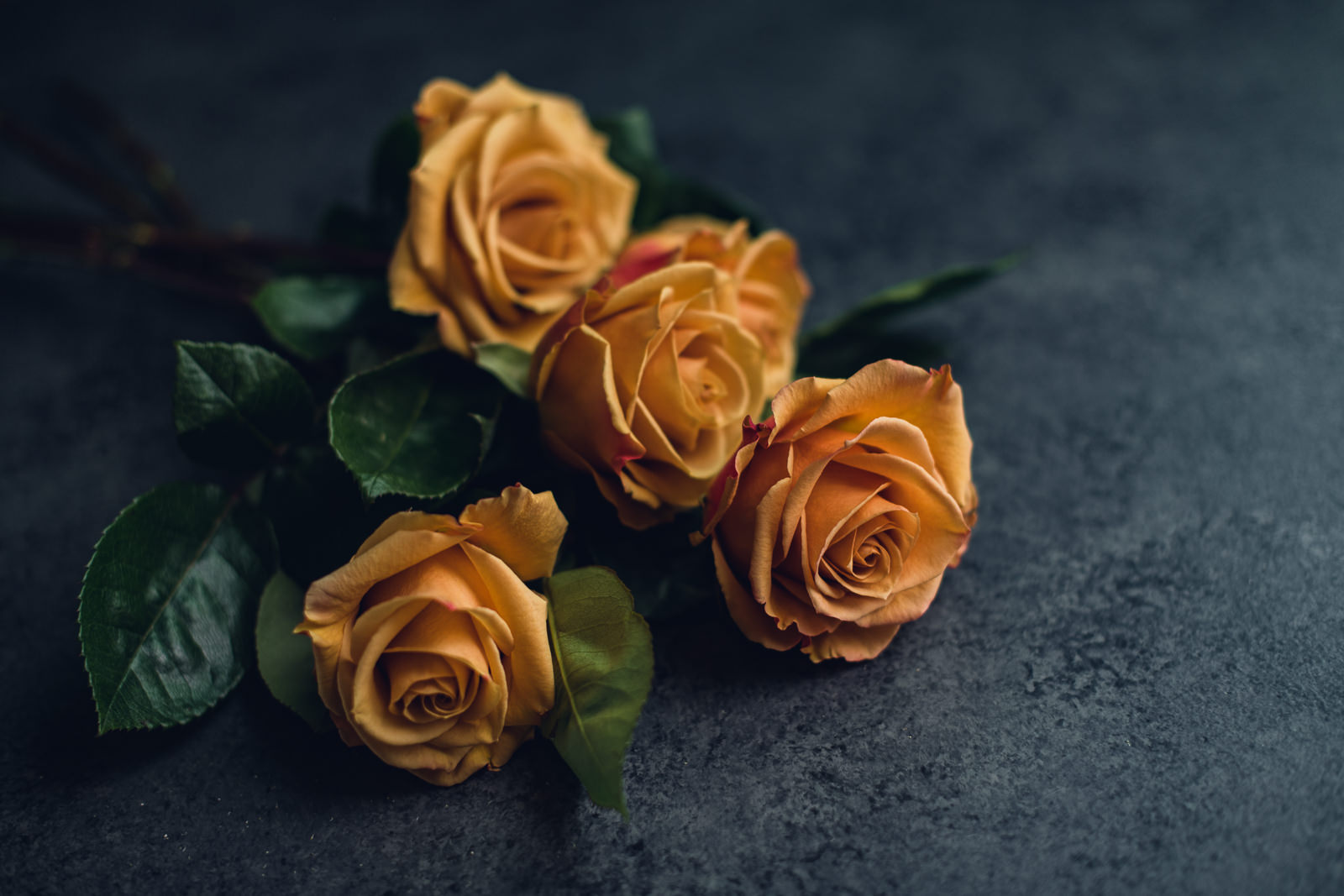 Mustard Rose Floral Print