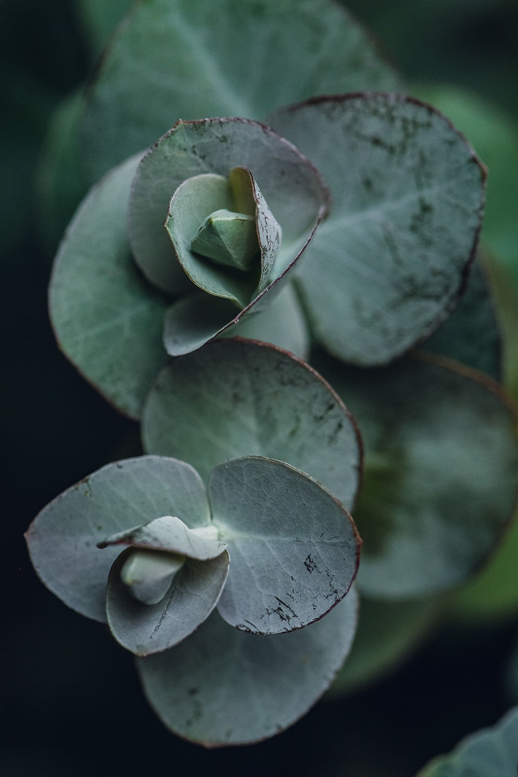 Floral Print - Labor-Day-Flatlays-Alexia-Art-37